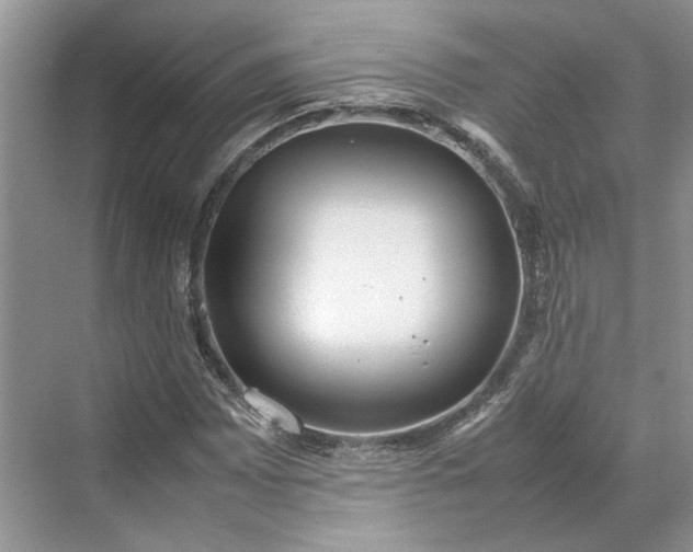 X0000070211065200606091618