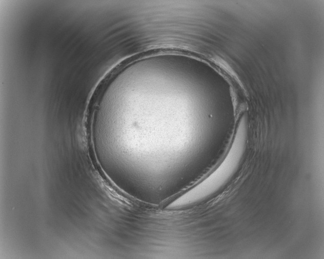 X0000070211068200606091618