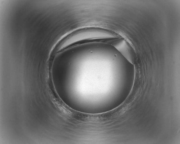 X0000070211069200606091618