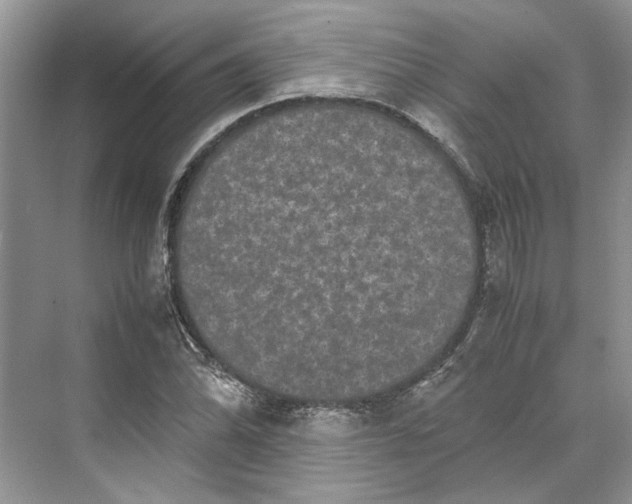 X0000070211070200606091618