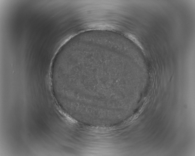 X0000070211071200606091618