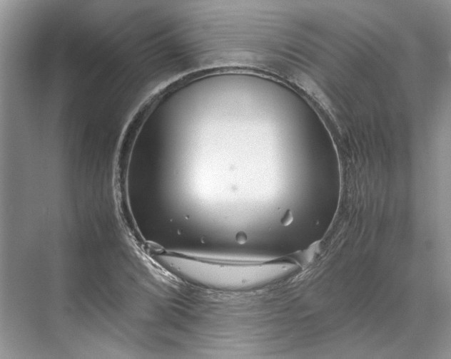 X0000070211072200606091618