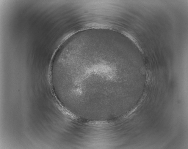 X0000070211074200606091618