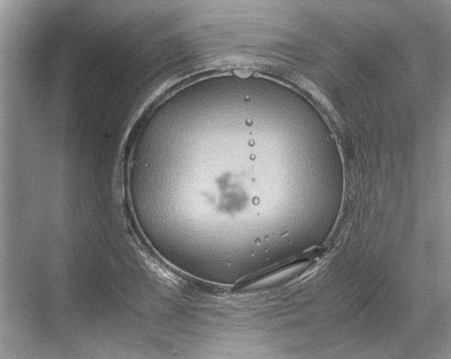 X0000070211075200606091618