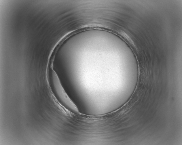 X0000070211076200606091618