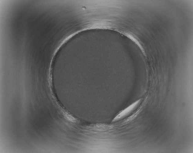 X0000070211077200606091618