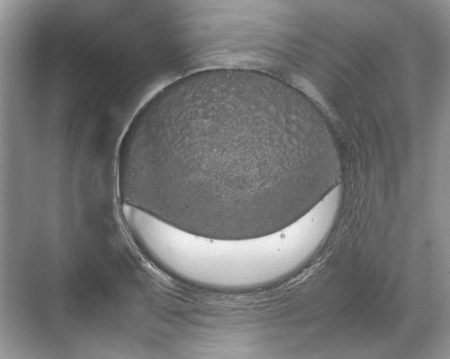 X0000070211079200606091618