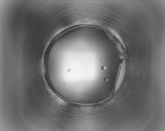 X0000070211080200606091618