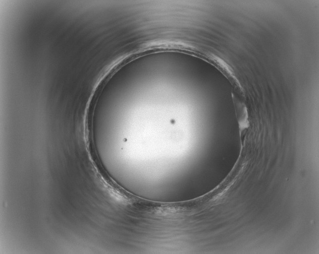 X0000070211082200606091618