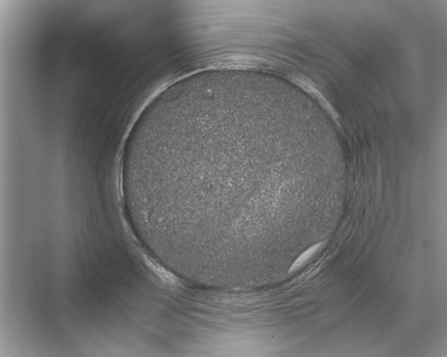 X0000070211083200606091618