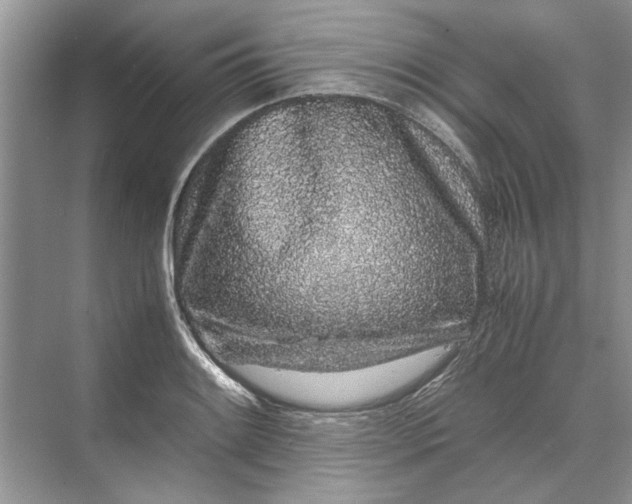 X0000070211084200606091618