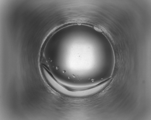 X0000070211085200606091618