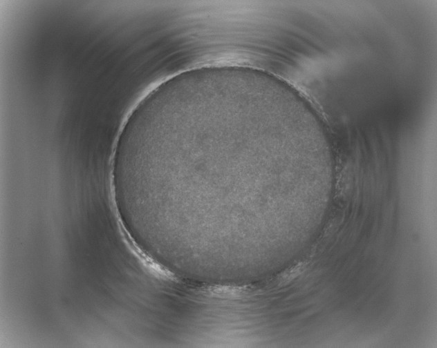 X0000070211086200606091618