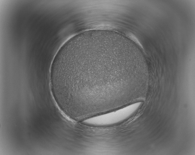 X0000070211087200606091618