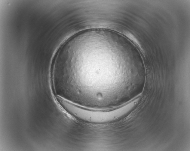 X0000070211088200606091618