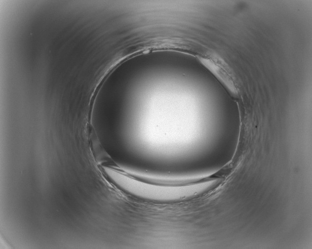 X0000070211089200606091618