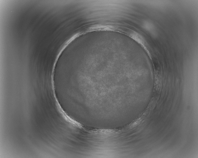 X0000070211090200606091618