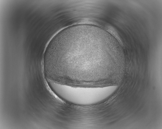 X0000070211092200606091618