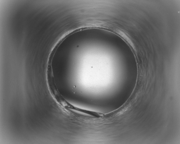 X0000070211093200606091618