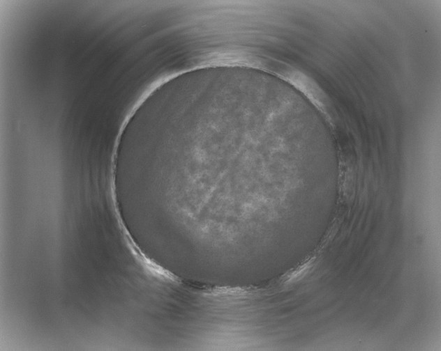 X0000070211094200606091618