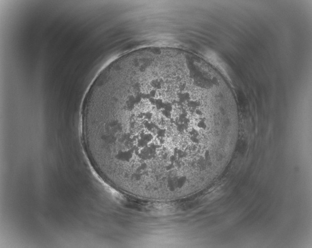 X0000070211095200606091618