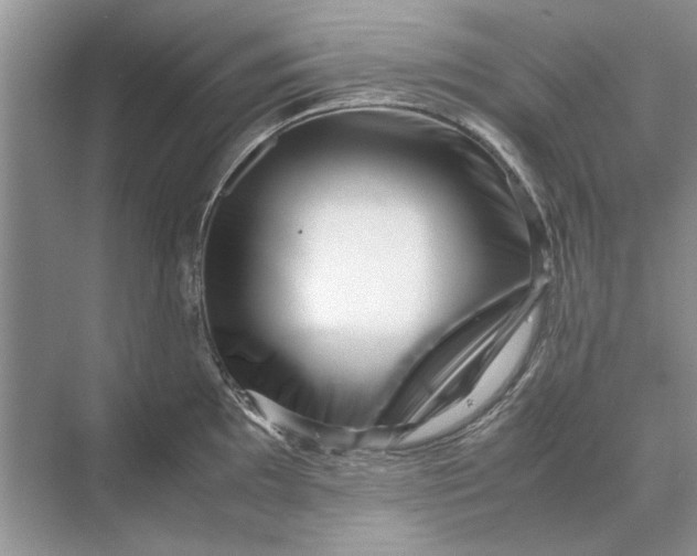 X0000070211097200606091618