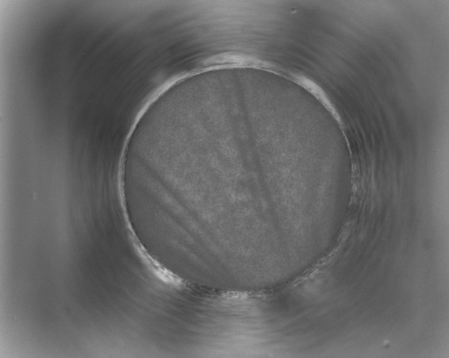 X0000070211098200606091618