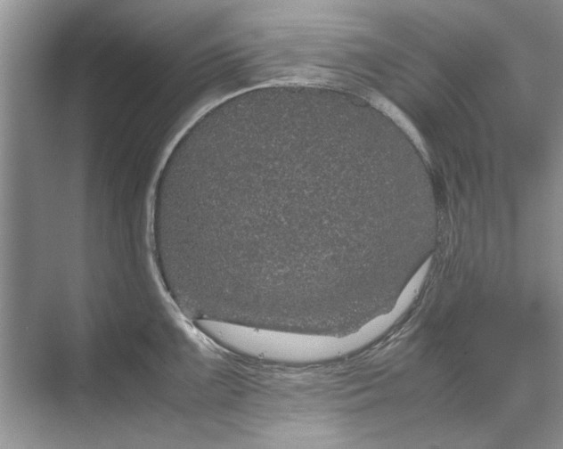 X0000070211099200606091618