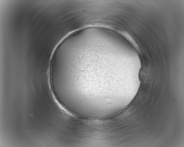 X0000070211100200606091618