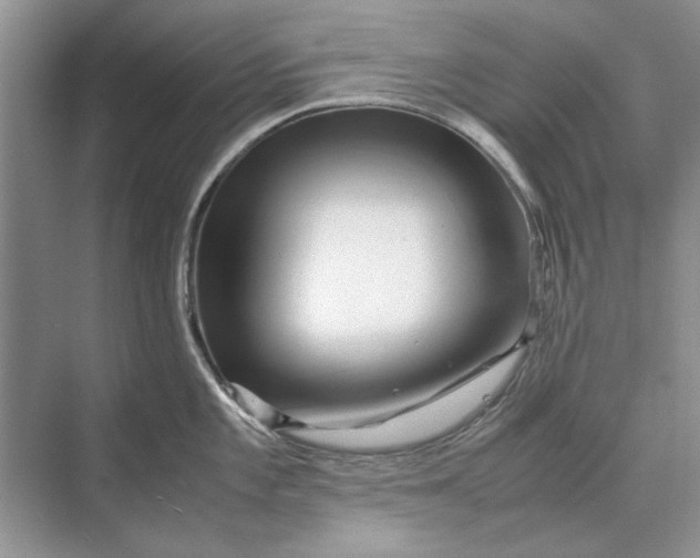 X0000070211101200606091618