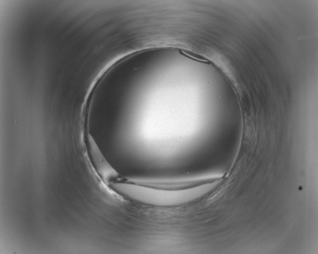 X0000070211102200606091618