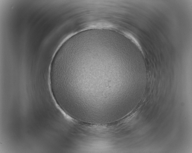 X0000070211103200606091618