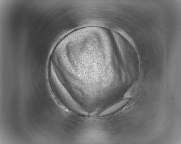 X0000070211104200606091618