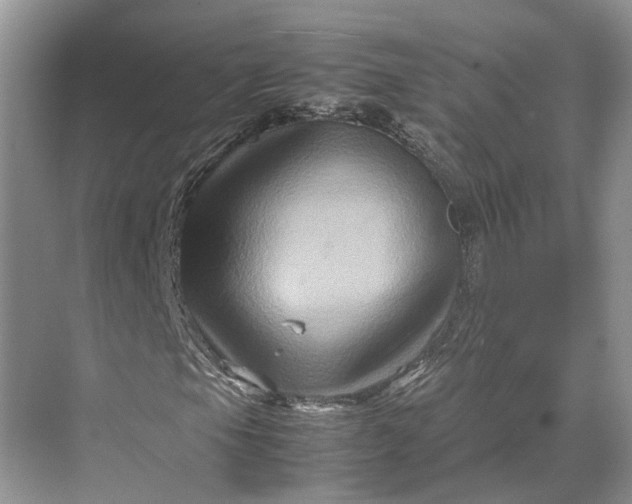 X0000070211105200606091617