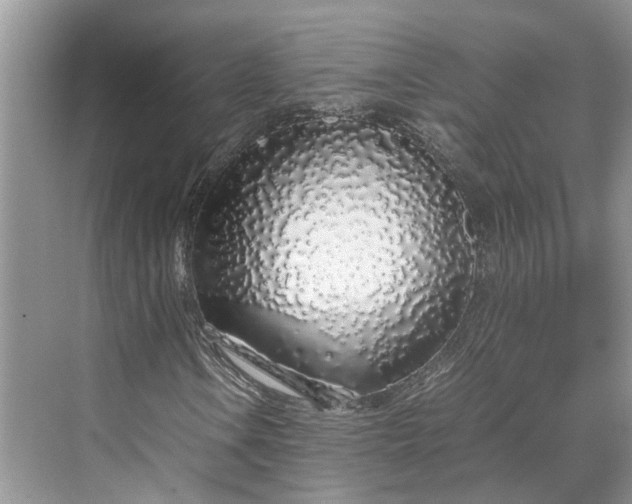 X0000070211106200606091617