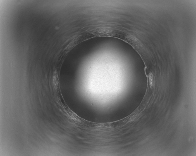 X0000070211107200606091617