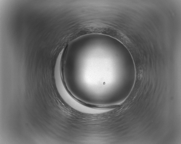 X0000070211108200606091617