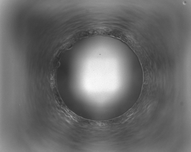 X0000070211109200606091617