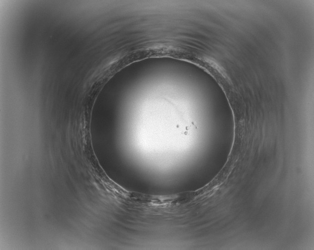 X0000070211111200606091617