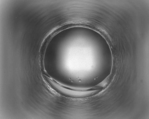 X0000070211114200606091617