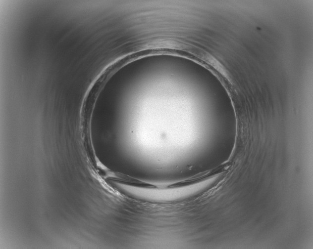 X0000070211116200606091617