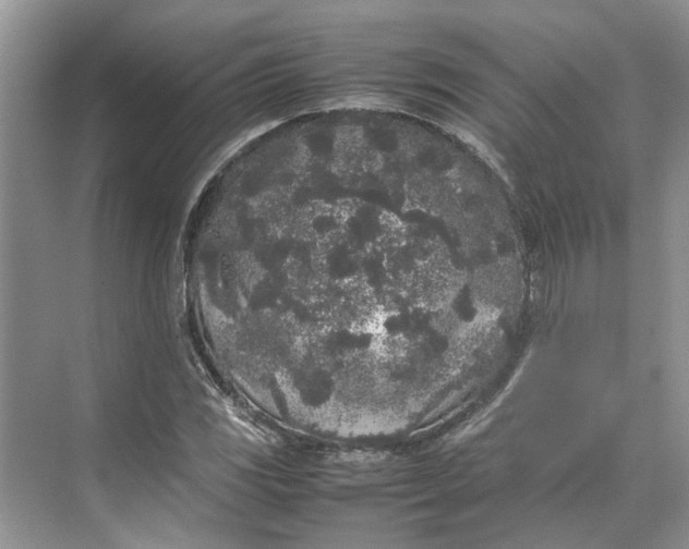 X0000070211117200606091617