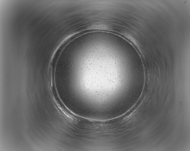 X0000070211123200606091617