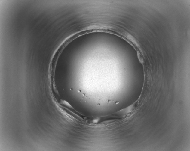 X0000070211124200606091617