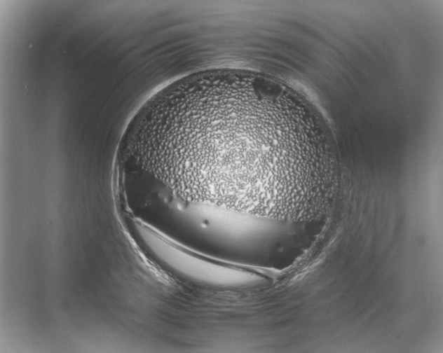 X0000070211125200606091617