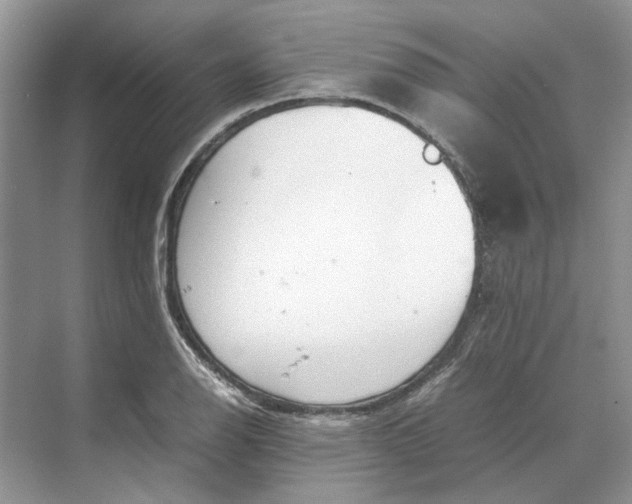 X0000070211126200606091617