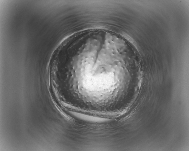 X0000070211127200606091617