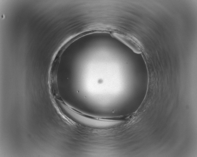 X0000070211128200606091617