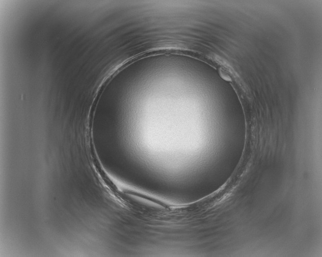 X0000070211129200606091617