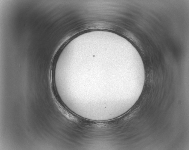 X0000070211130200606091617